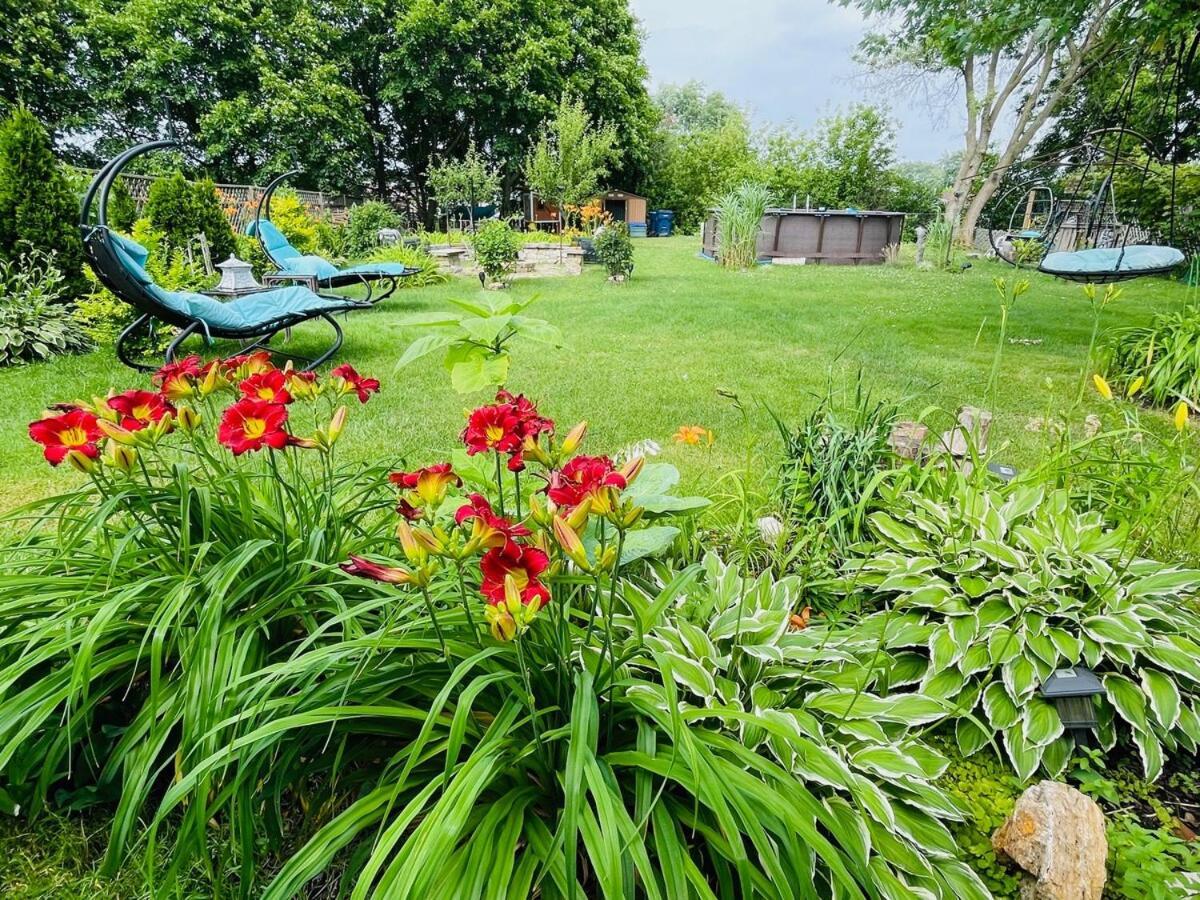 Schaumburg Paradise Oasis With A Secret Garden And Private Pool Eksteriør billede